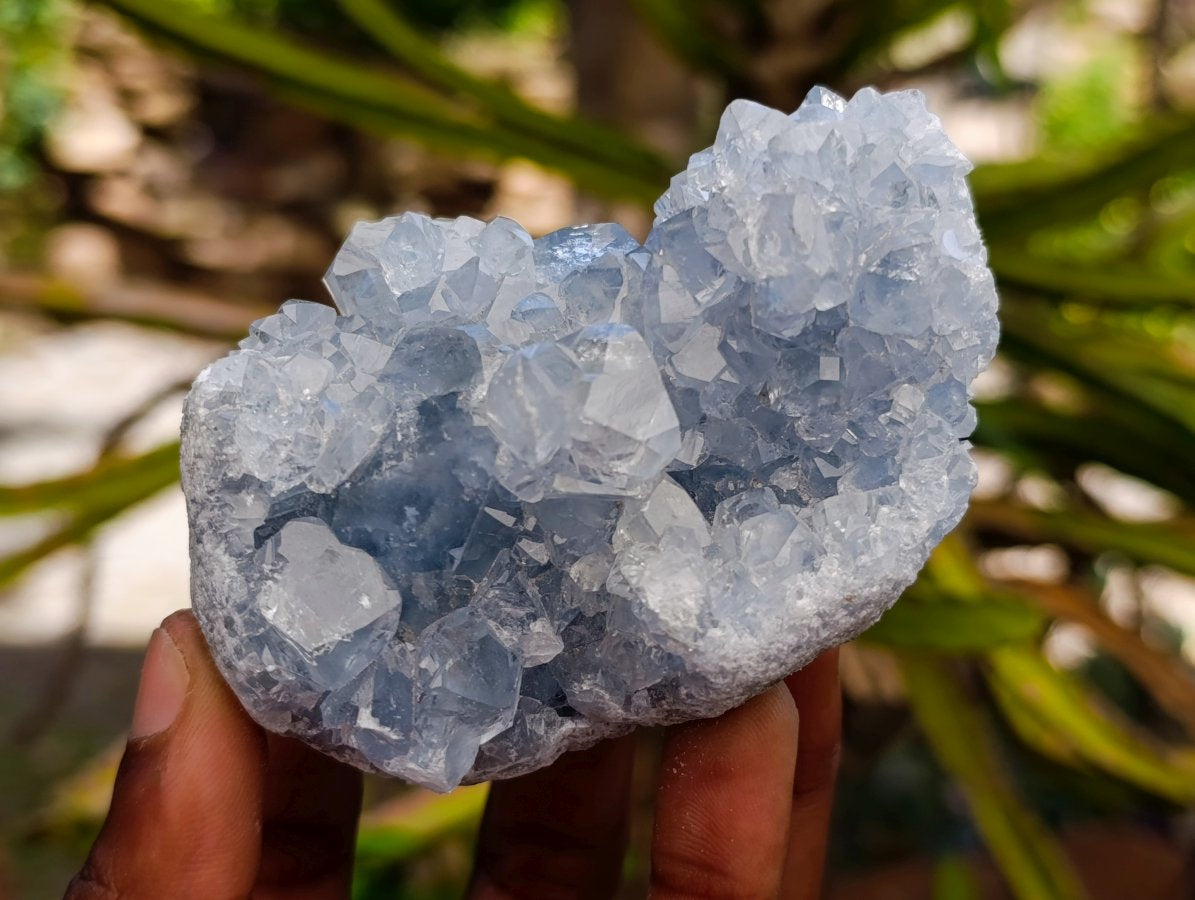 Natural Blue Celestite Crystal Cluster Specimens x 22 From Sakoany, Madagascar