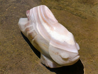 Hand Made Zebra Agate Fish Carving x 1 From Madagascar