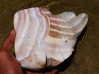 Hand Made Zebra Agate Fish Carving x 1 From Madagascar