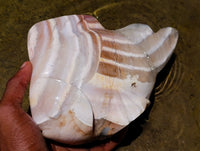 Hand Made Zebra Agate Fish Carving x 1 From Madagascar