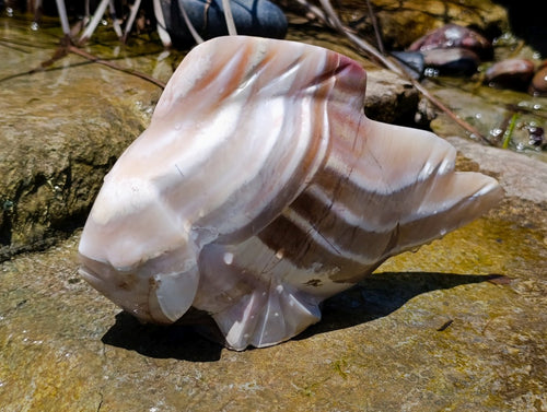 Hand Made Zebra Agate Fish Carving x 1 From Madagascar - Toprock Gemstones and Minerals 