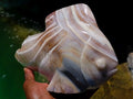 Hand Made Zebra Agate Fish Carving x 1 From Madagascar - Toprock Gemstones and Minerals 