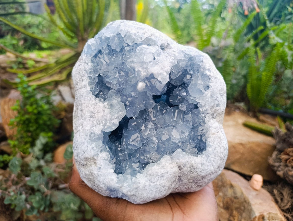 Natural Blue Celestite Geode Specimen x 1 From Sakoany, Madagascar