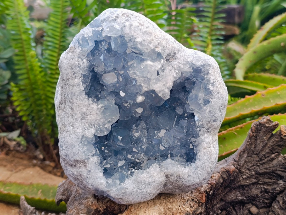 Natural Blue Celestite Geode Specimen x 1 From Sakoany, Madagascar