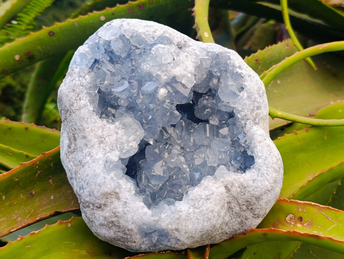 Natural Blue Celestite Geode Specimen x 1 From Sakoany, Madagascar