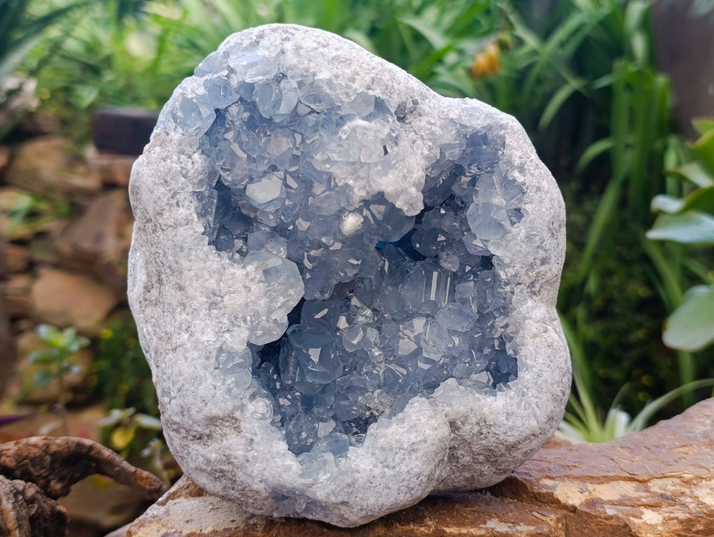 Natural Blue Celestite Geode Specimen x 1 From Sakoany, Madagascar