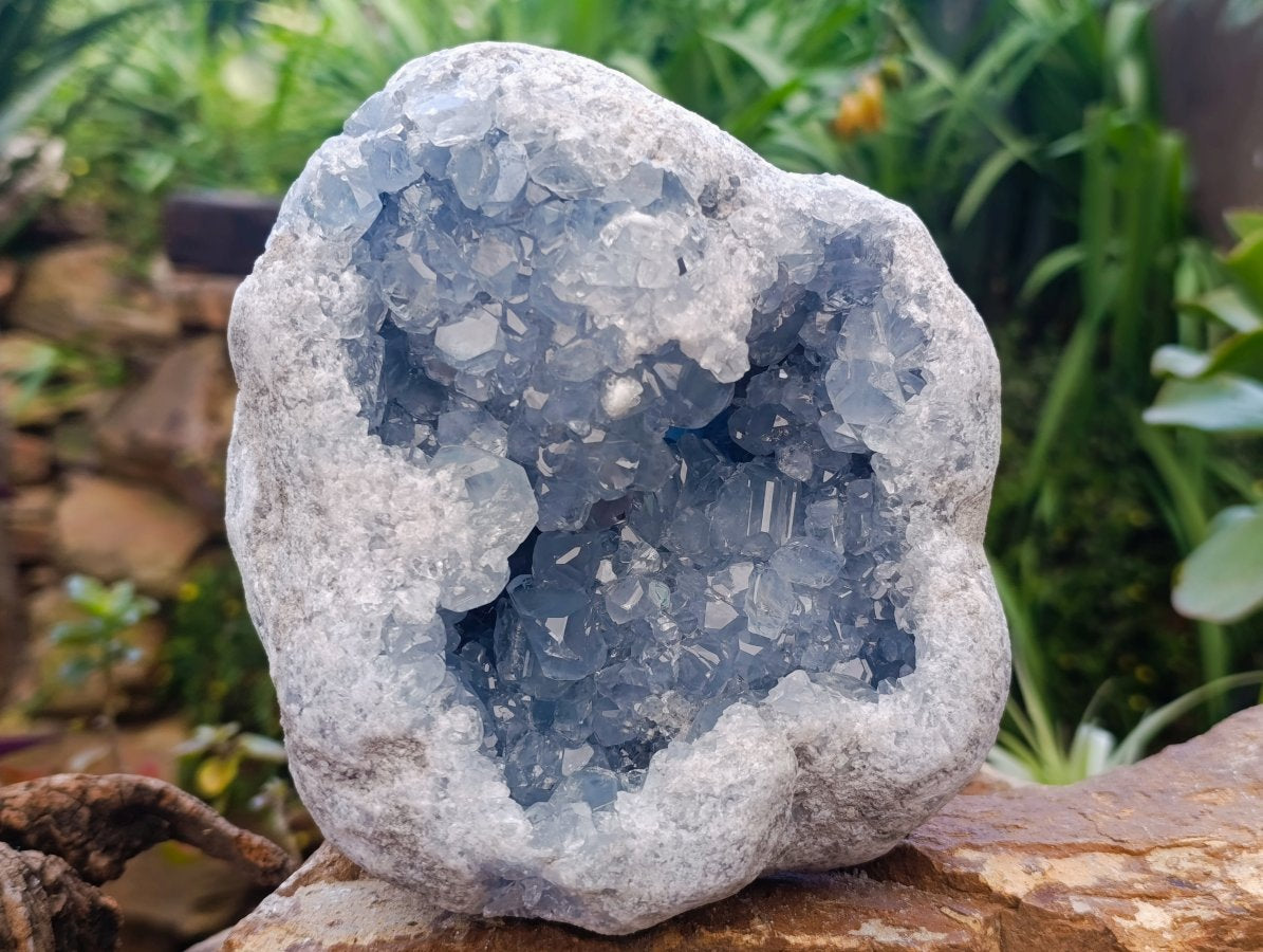 Natural Blue Celestite Geode Specimen x 1 From Sakoany, Madagascar