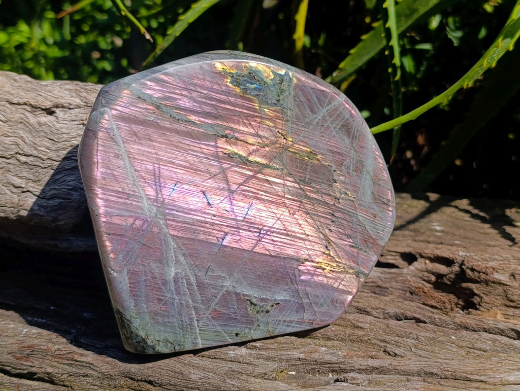 Polished Labradorite Standing Free Form x 1 From Madagascar