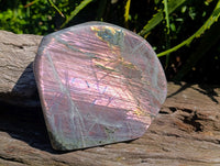 Polished Labradorite Standing Free Form x 1 From Madagascar