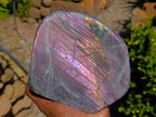 Polished Labradorite Standing Free Form x 1 From Madagascar