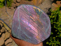 Polished Labradorite Standing Free Form x 1 From Madagascar