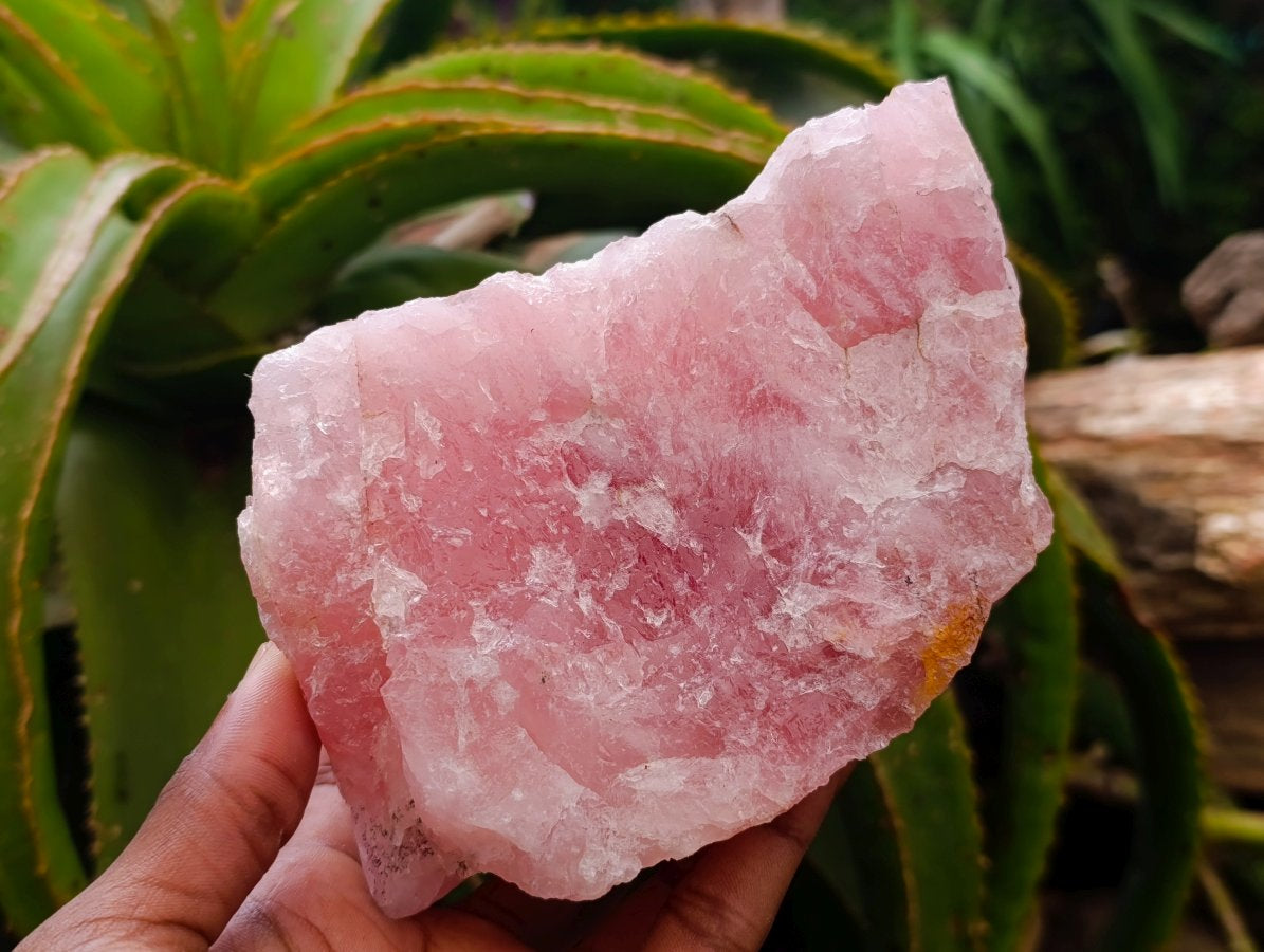 Natural Cobbed Rose Quartz Specimens x 3 From Northern Cape, South Africa