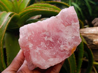 Natural Cobbed Rose Quartz Specimens x 3 From Northern Cape, South Africa