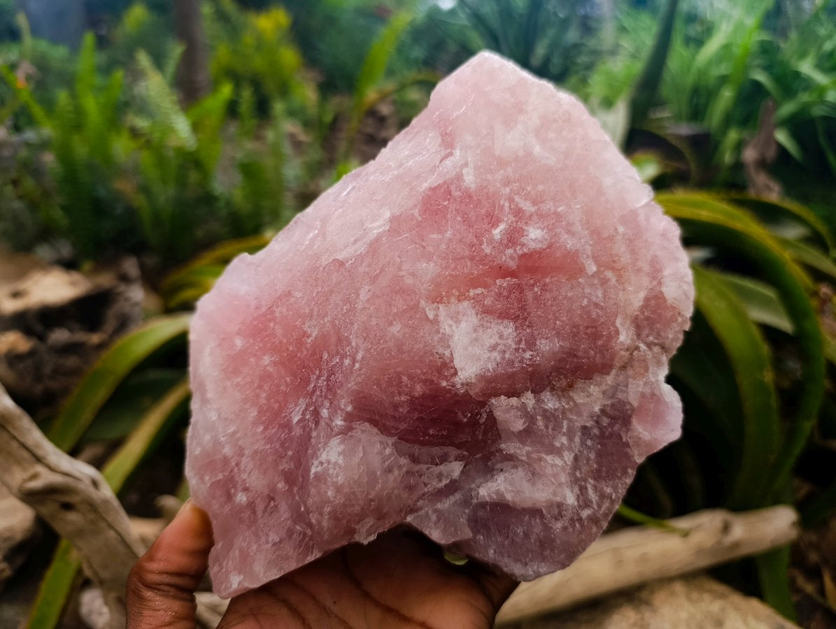 Natural Cobbed Rose Quartz Specimens x 3 From Northern Cape, South Africa
