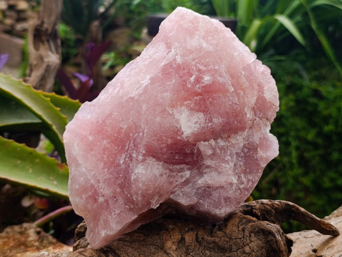 Natural Cobbed Rose Quartz Specimens x 3 From Northern Cape, South Africa