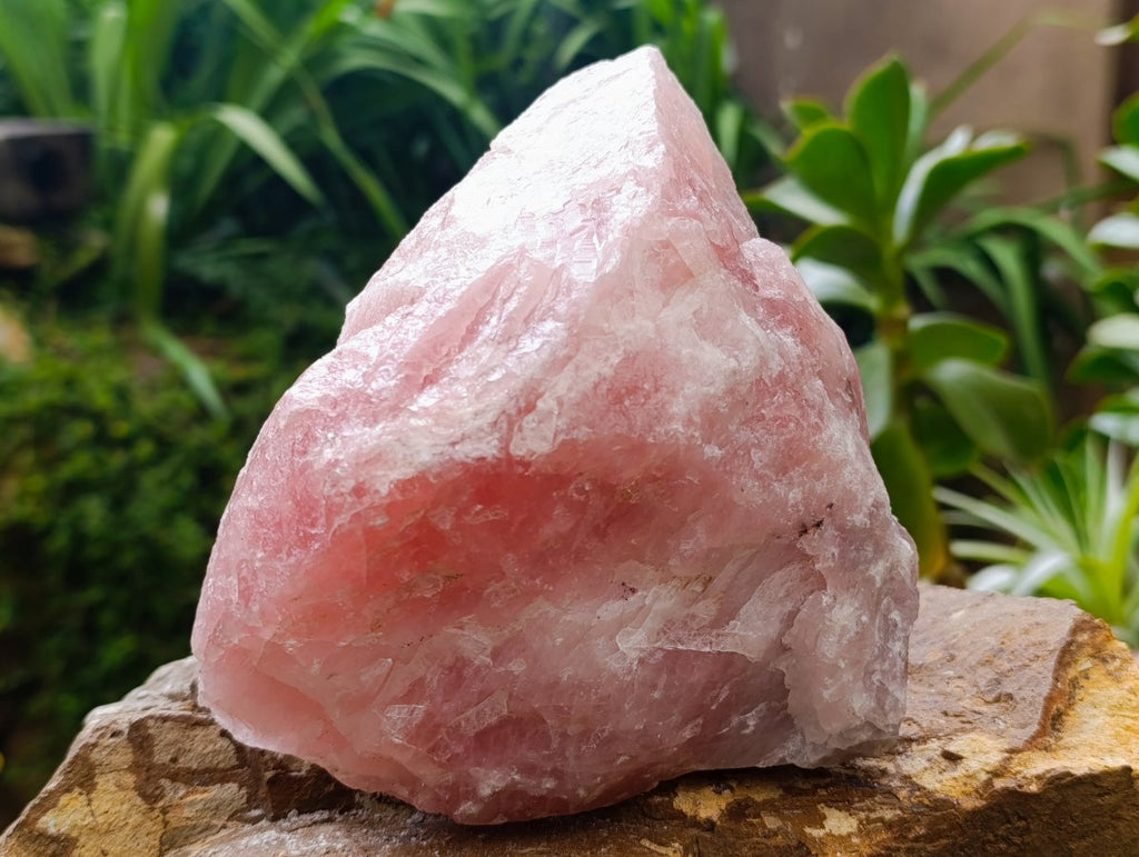Natural Cobbed Rose Quartz Specimens x 3 From Northern Cape, South Africa