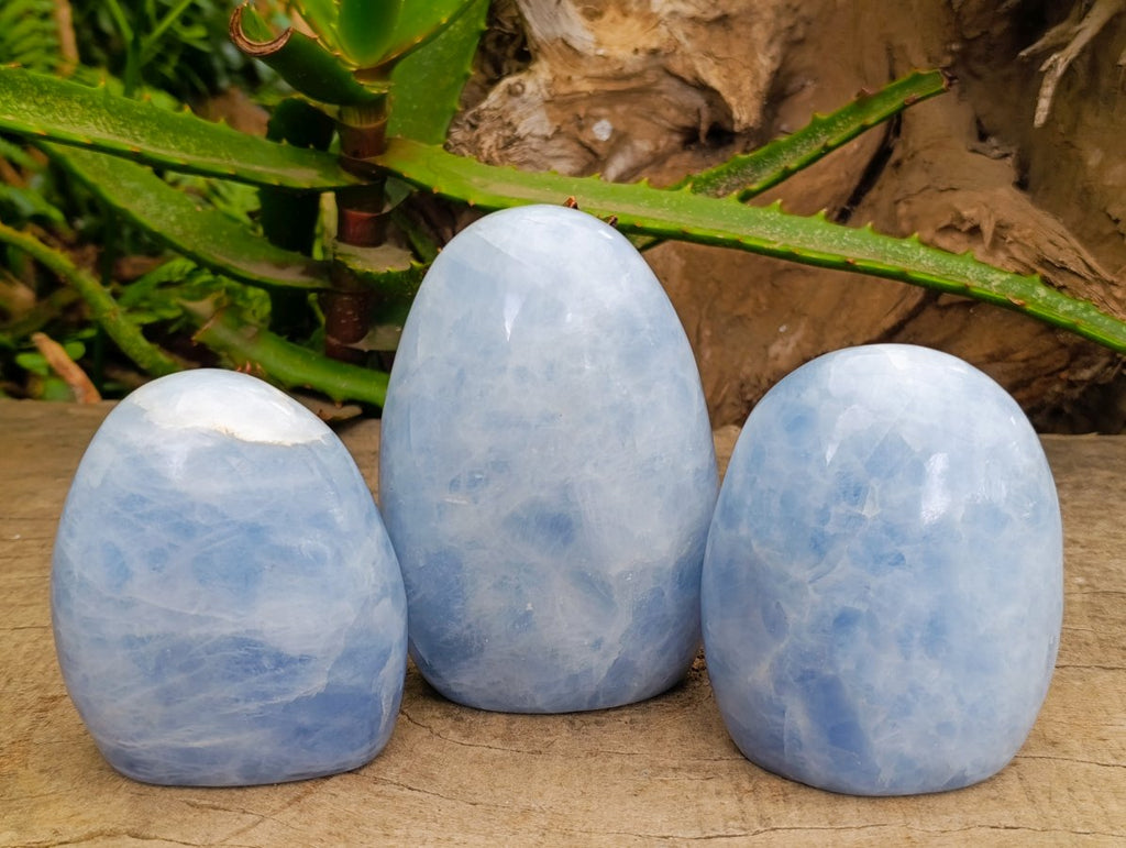 Polished Blue Calcite Standing Free Forms x 3 From Madagascar
