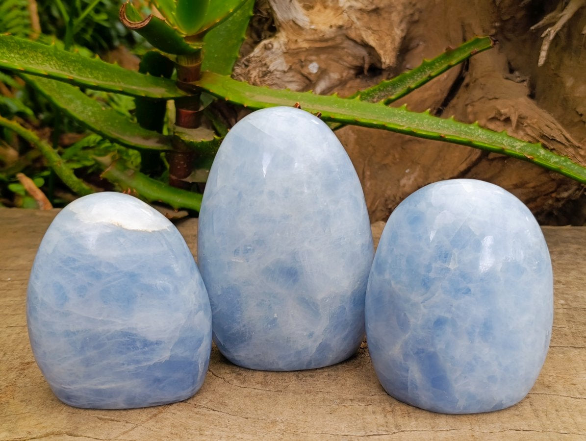 Polished Blue Calcite Standing Free Forms x 3 From Madagascar