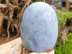 Polished Blue Calcite Standing Free Forms x 3 From Madagascar