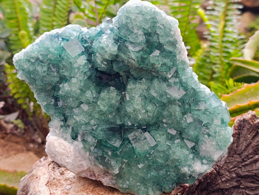 Natural Cubic Green Fluorite Cluster Specimens x 2 From Mandrosonoro, Madagascar