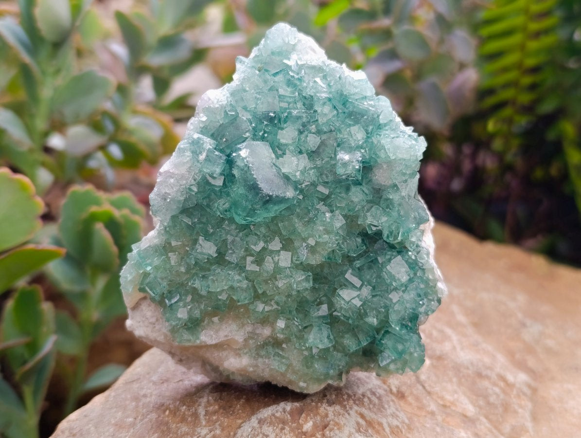 Natural Cubic Green Fluorite Cluster Specimens x 2 From Mandrosonoro, Madagascar