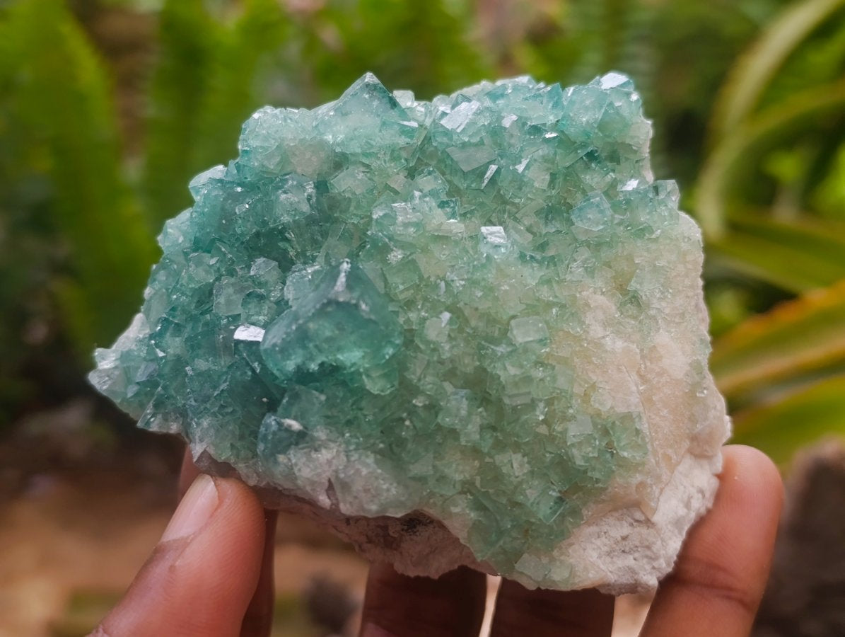 Natural Cubic Green Fluorite Cluster Specimens x 2 From Mandrosonoro, Madagascar