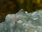 Natural Cubic Green Fluorite Cluster Specimens x 2 From Mandrosonoro, Madagascar