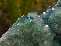 Natural Cubic Green Fluorite Cluster Specimens x 2 From Mandrosonoro, Madagascar