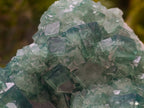 Natural Cubic Green Fluorite Cluster Specimens x 2 From Mandrosonoro, Madagascar