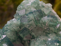 Natural Cubic Green Fluorite Cluster Specimens x 2 From Mandrosonoro, Madagascar