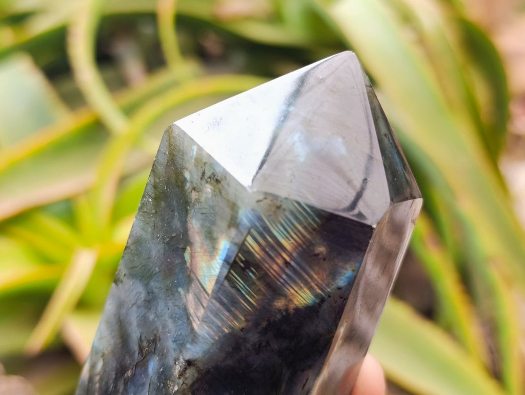 Polished Labradorite Display Crystals x 6 From Madagascar