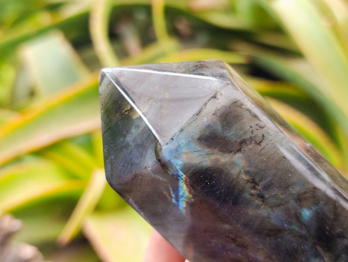 Polished Labradorite Display Crystals x 6 From Madagascar