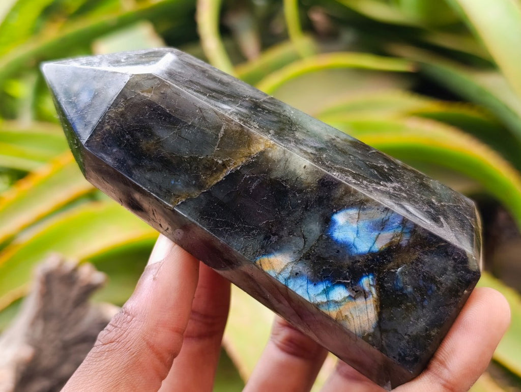 Polished Labradorite Display Crystals x 6 From Madagascar