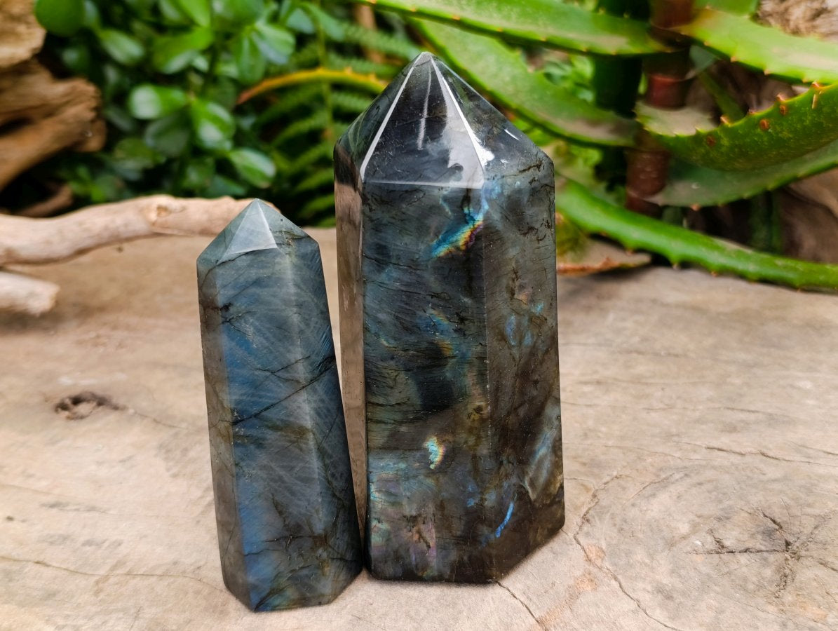 Polished Labradorite Display Crystals x 6 From Madagascar