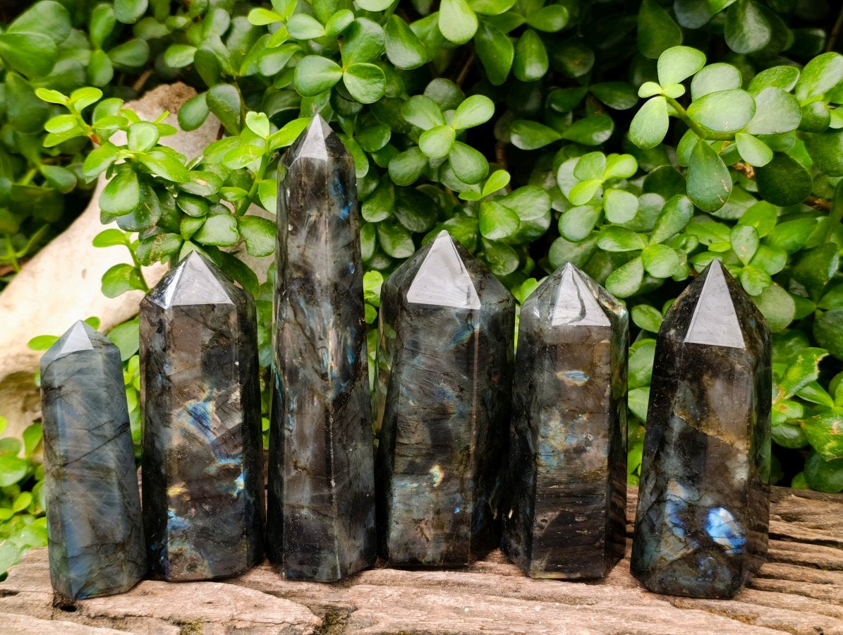 Polished Labradorite Display Crystals x 6 From Madagascar