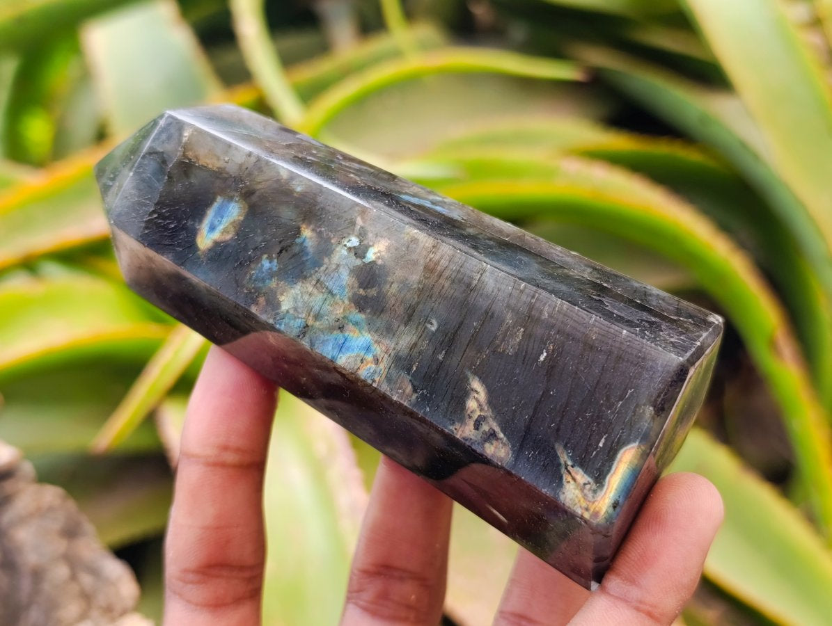 Polished Labradorite Display Crystals x 6 From Madagascar