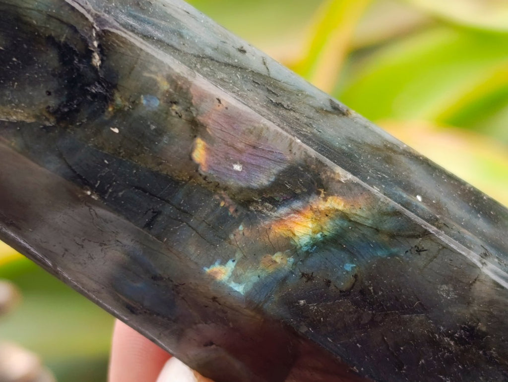 Polished Labradorite Display Crystals x 6 From Madagascar