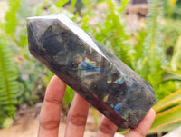 Polished Labradorite Display Crystals x 6 From Madagascar