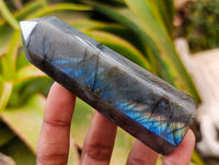 Polished Labradorite Display Crystals x 6 From Madagascar