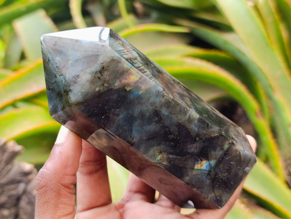 Polished Labradorite Display Crystals x 6 From Madagascar