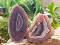 Polished on One Side Red Shashe River Agate Nodules x 6 From Shashe River, Zimbabwe