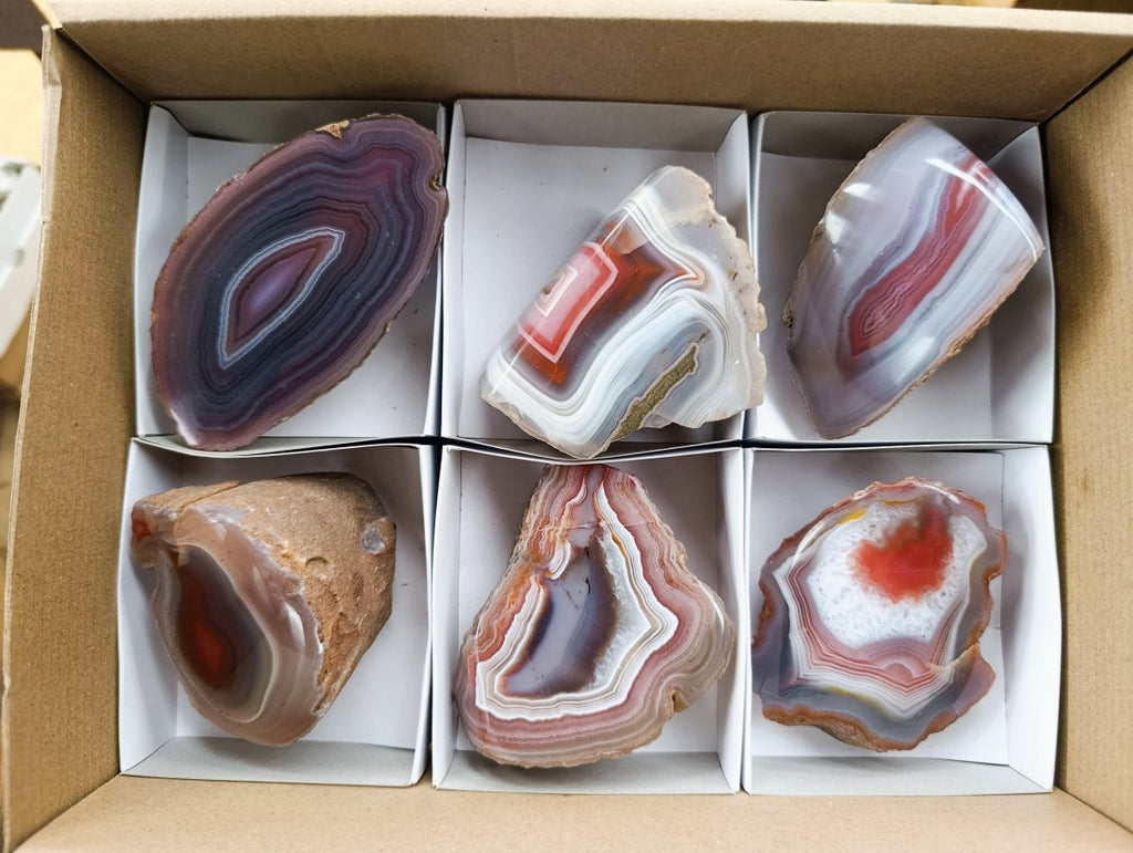 Polished on One Side Red Shashe River Agate Nodules x 6 From Shashe River, Zimbabwe