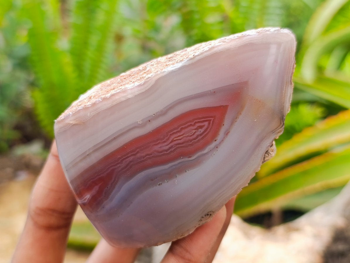 Polished on One Side Red Shashe River Agate Nodules x 6 From Shashe River, Zimbabwe