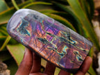 Polished Rare Purple Sunset Flash Labradorite Standing Free Forms x 3 From Madagascar