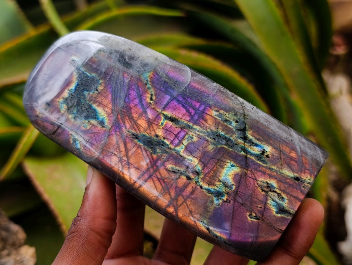 Polished Rare Purple Sunset Flash Labradorite Standing Free Forms x 3 From Madagascar