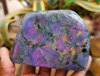 Polished Rare Purple Sunset Flash Labradorite Standing Free Forms x 3 From Madagascar