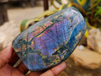 Polished Rare Purple Sunset Flash Labradorite Standing Free Forms x 3 From Madagascar