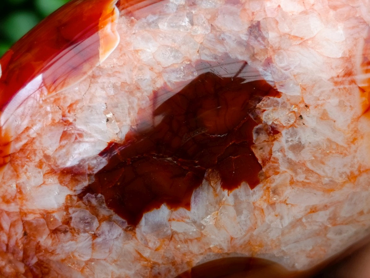 Polished Carnelian Agate Gemstone Standing Free Forms x 1 From Madagascar