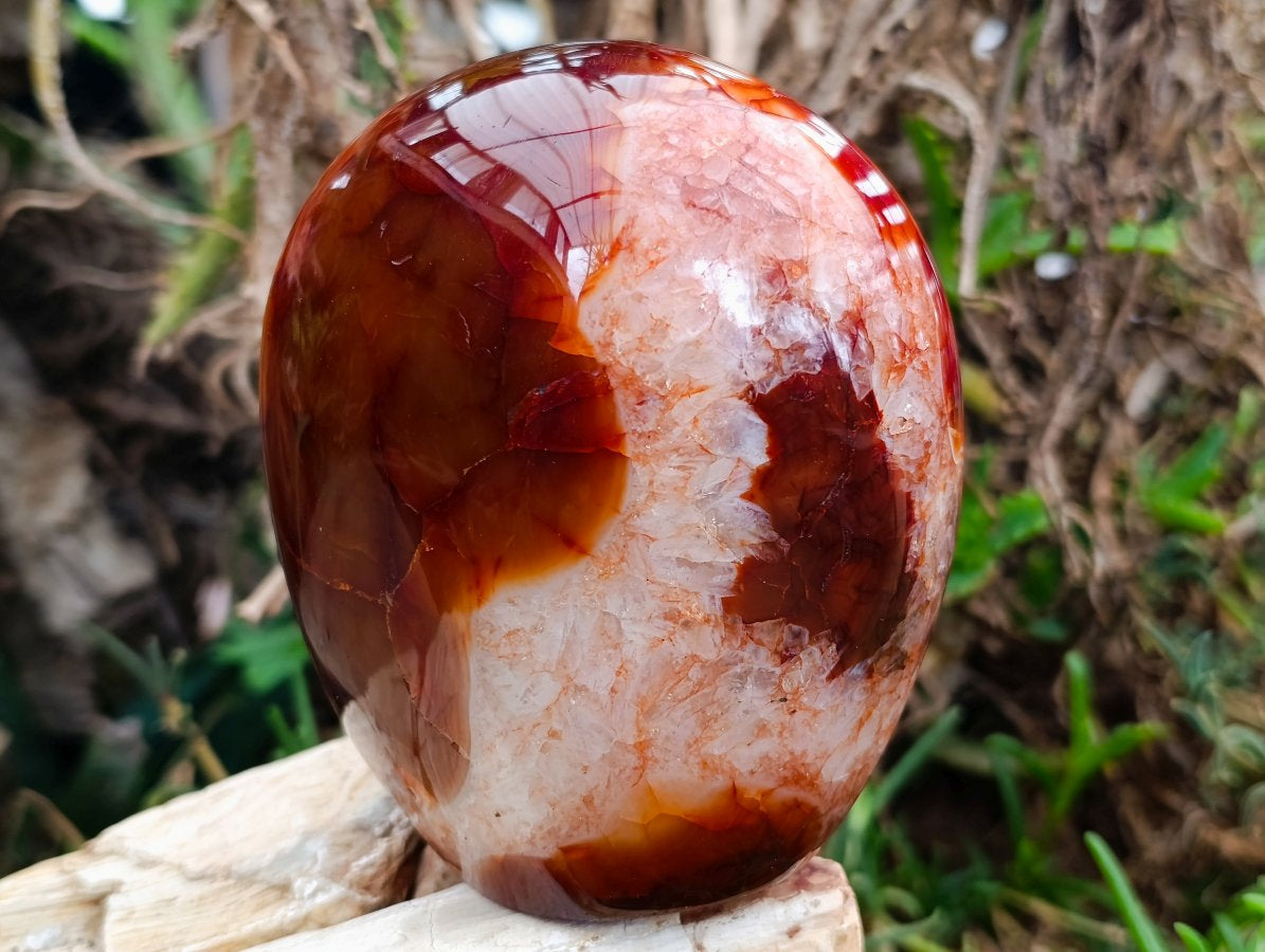Polished Carnelian Agate Gemstone Standing Free Forms x 1 From Madagascar