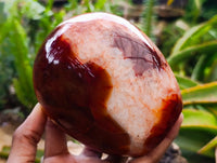 Polished Carnelian Agate Gemstone Standing Free Forms x 1 From Madagascar